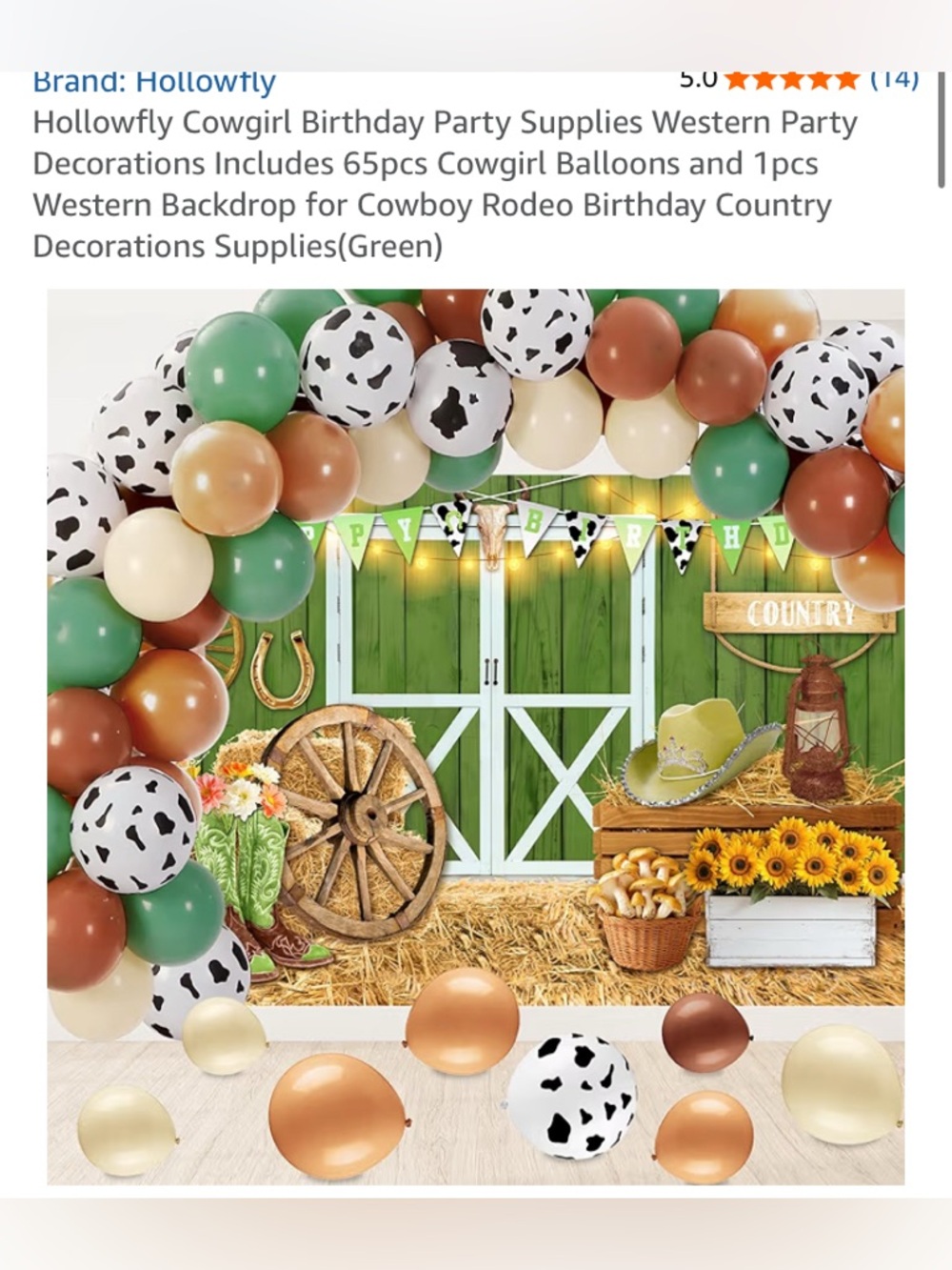 Cowgirl Western Party- Backdrop & Balloons NWOT